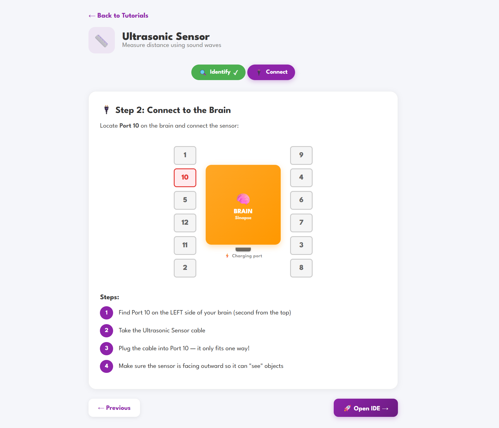 Tutorial — Connect to the Brain
